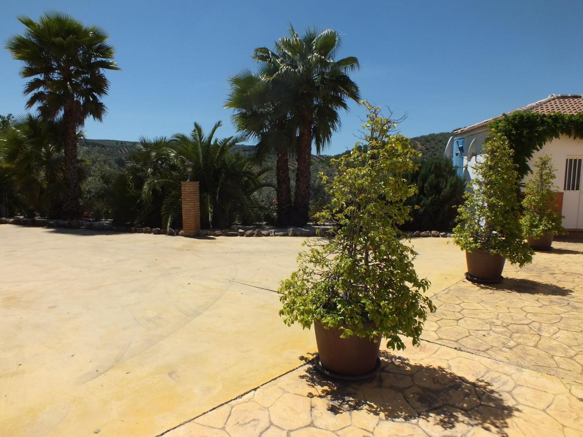 Casa Pino Solo Apartment อิซนาฮาร์ ภายนอก รูปภาพ