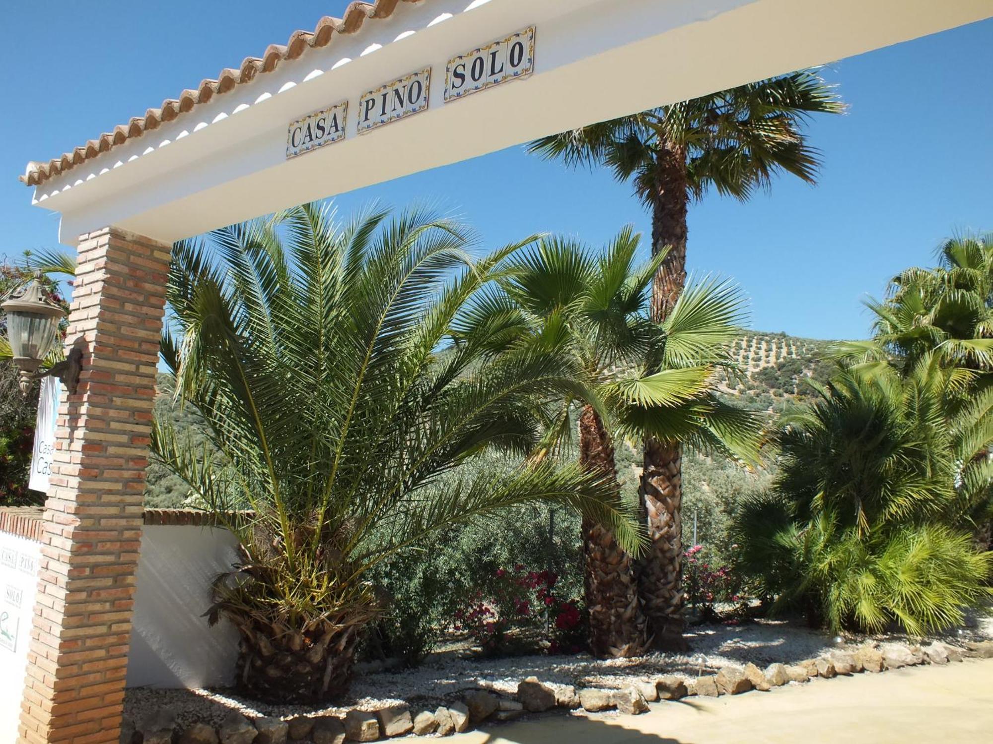Casa Pino Solo Apartment อิซนาฮาร์ ภายนอก รูปภาพ